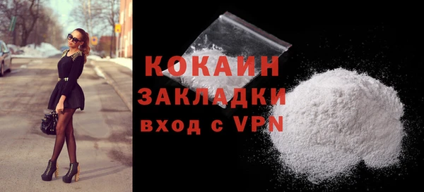 твердый Бородино