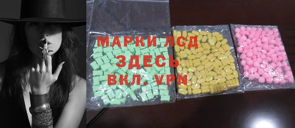 гашик Козельск