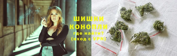 индика Козловка