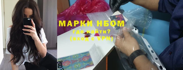 гашик Козельск