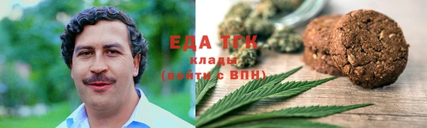 индика Козловка
