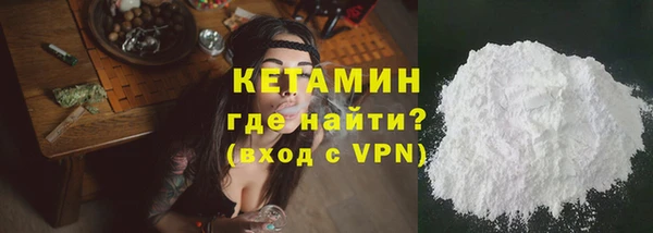 индика Козловка