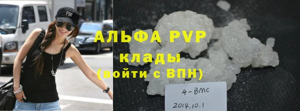индика Козловка