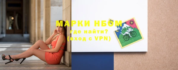 индика Козловка