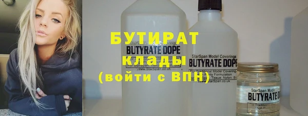 индика Козловка