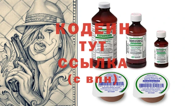 индика Козловка