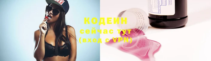 индика Козловка
