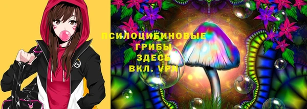 спиды Кодинск