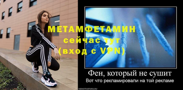 индика Козловка