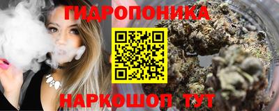 Альфа ПВП Бийск