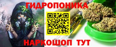 Альфа ПВП Бийск