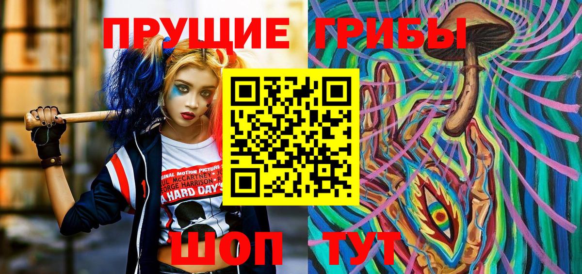Псилоцибиновые грибы Psilocybe Мариинск