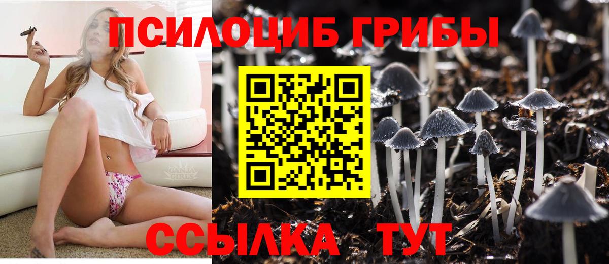 Мариинск  дарнет шоп  Вход с VPN  Псилоцибиновые грибы ЛСД 