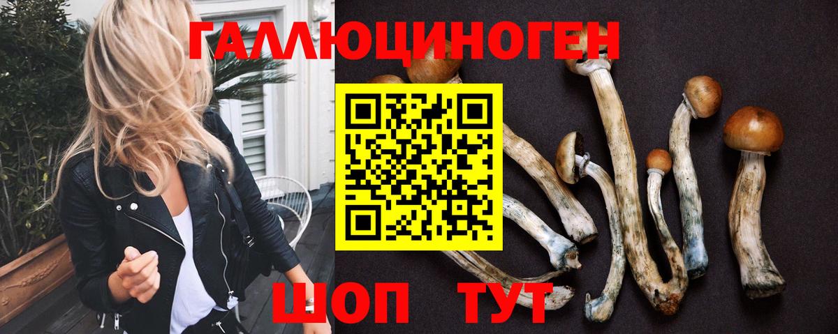 Псилоцибиновые грибы Psilocybe  Мариинск  Галлюциногенные грибы GOLDEN TEACHER 